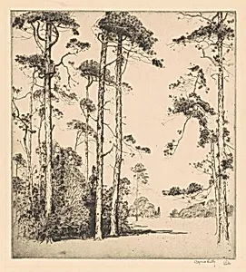 Southern Pines