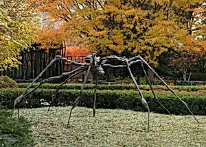 Spider