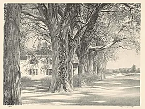 Spring on Pleasant Street