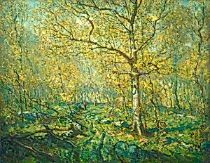Spring Woods