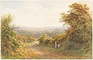 Squirrel Lane, near Magham Down, Sussex