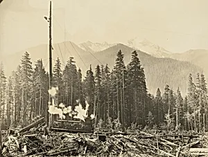 St. Paul and Tacoma Lumber Company, Nooksack Camp