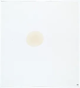 Stains: Castor Oil (Borbro)
