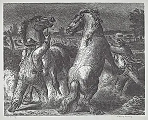 Stallion And Mare