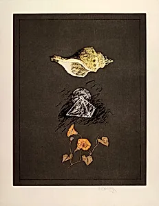 Still Life with Shell