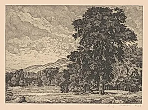 Stony Pasture