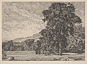 Stony Pasture