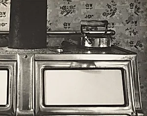 Stove: "The Home Place" Detail