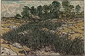 Stream in Lopérec (Ruisseau à Lopérec)