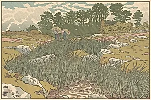 Stream in Lopérec (Ruisseau à Lopérec)