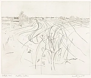 Stubble Fields