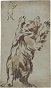 Studies of a Bear