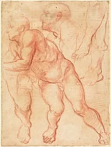 Studies of a Male Nude