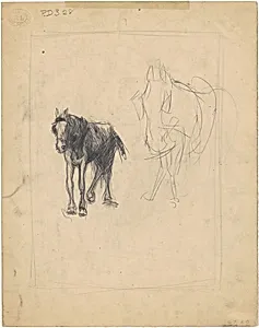 Studies of Horses