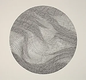 Study for Albatross