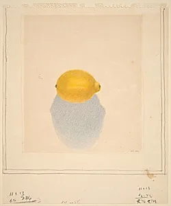Study for "Lemon"