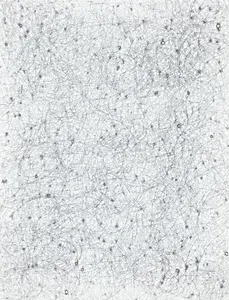 Study for Scrub
