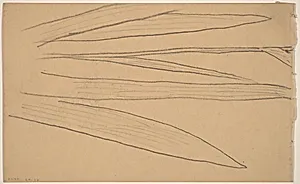 Study of a Flower [verso]