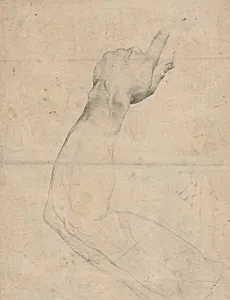 Study of an Arm [verso]
