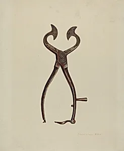 Sugar Cutter
