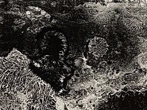 Sulfite Figure in Spacescape