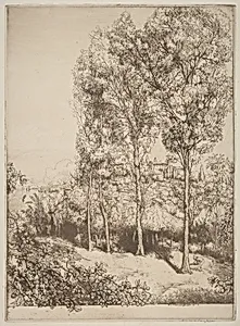 Sunlight and Shadows, No. 3