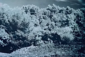 Surveillance video, Sophia Antipolis, France