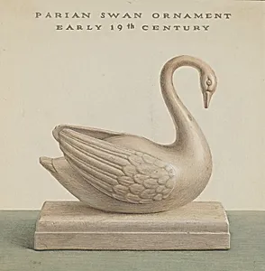 Swan