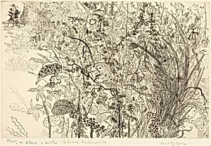 Tangled Undergrowth
