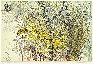 Tangled Undergrowth
