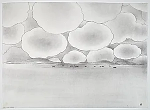 Taos Plains