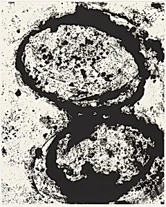 T.E. Rotate