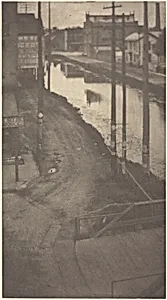 Telegraph Poles