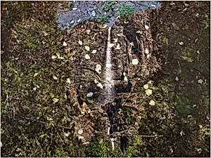 Tent-Camera Image: View of Upper and Lower Yosemite Falls, Yosemite National Park, California