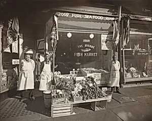 The Avenue Fish Market