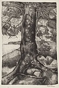 The Balsam Tree