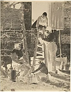 The Bean Sorters