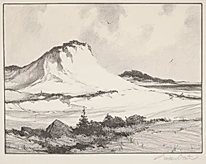 The Crested Dune