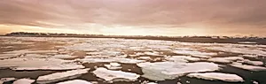 The edge of the summer pack ice, Arctic Ocean north of Svalbard