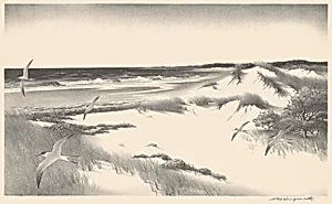 The Far Shore