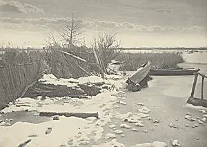 The First Frost