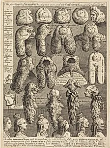 The Five Orders of Perriwigs as They Were Worn at the Late Coronation, Measured Architectonically by William Hogarth
