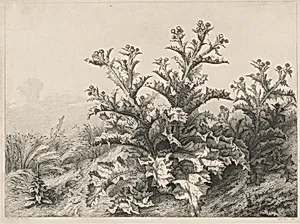 The Great Thistle (Le Grand Chardon)