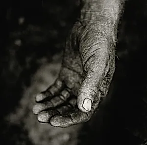 The "Hope" Grasshopper. Dona Antônia's Wish-Ribbon Bracelet. Five Centuries Work the Land at Black River.