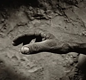 The "Hope" Grasshopper. Dona Antônia's Wish-Ribbon Bracelet. Five Centuries Work the Land at Black River.