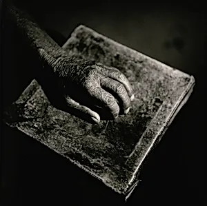 The "Hope" Grasshopper. Dona Antônia's Wish-Ribbon Bracelet. Five Centuries Work the Land at Black River.