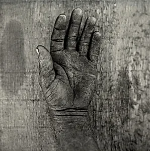 The "Hope" Grasshopper. Dona Antônia's Wish-Ribbon Bracelet. Five Centuries Work the Land at Black River.