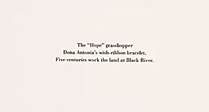 The "Hope" Grasshopper. Dona Antônia's Wish-Ribbon Bracelet. Five Centuries Work the Land at Black River.