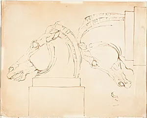 The Horse of Selene from the Elgin Marbles [recto]