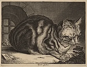 The Large Cat
